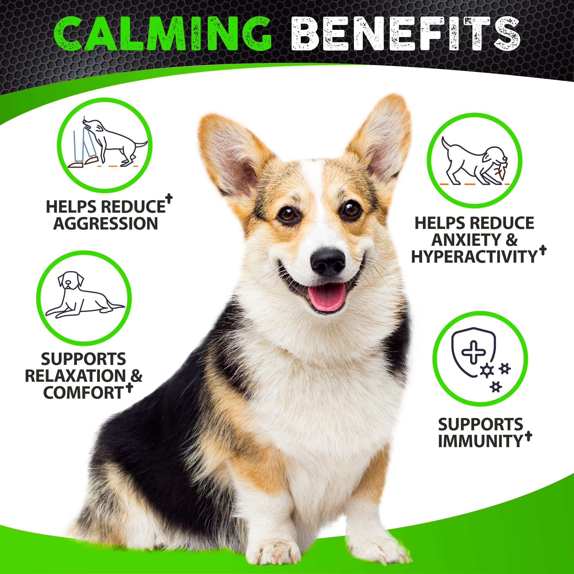 FURALAND hemp calming chews serving shot for easy daily anxiety support