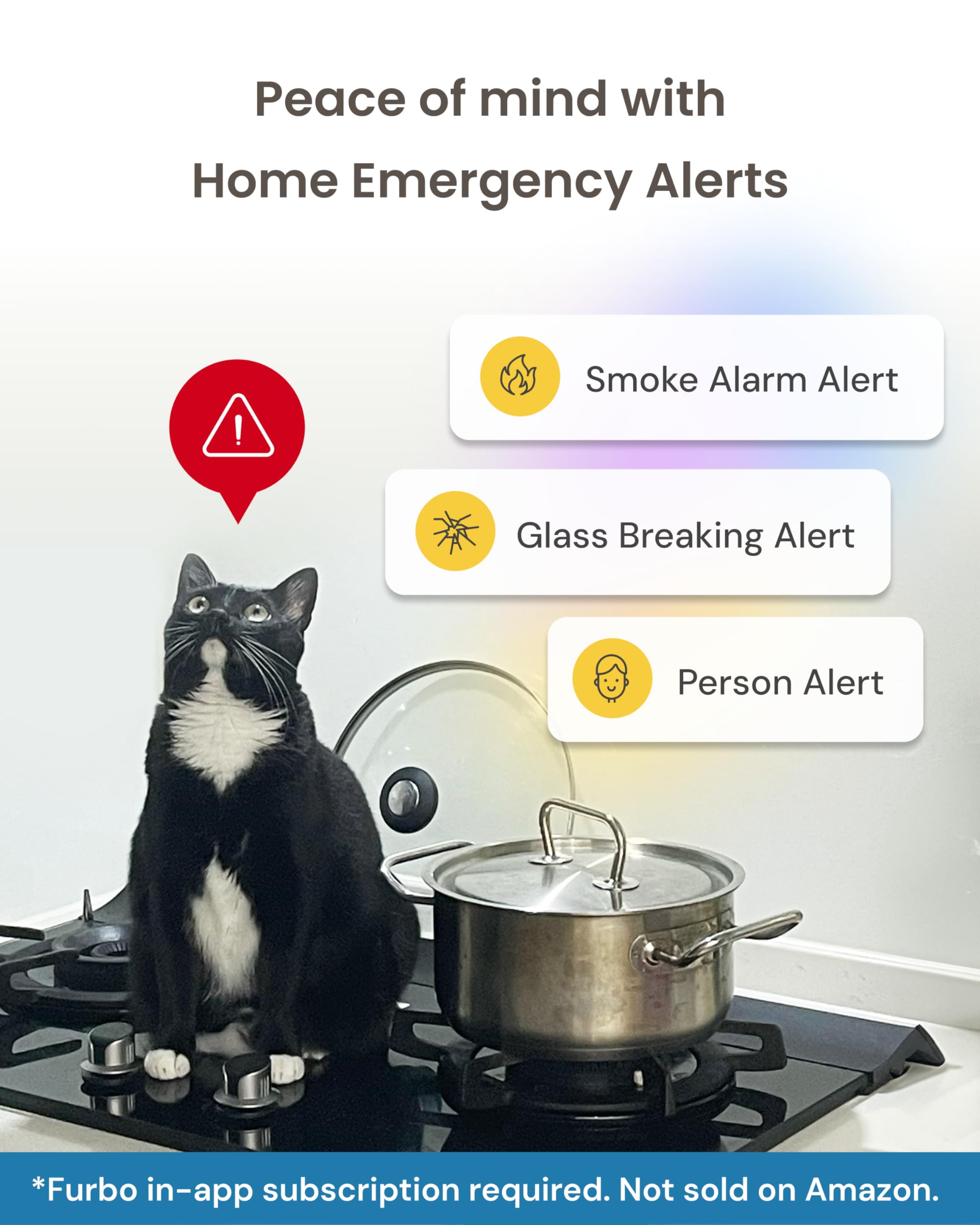 Furbo tracks daily activity trends to support wellbeing.