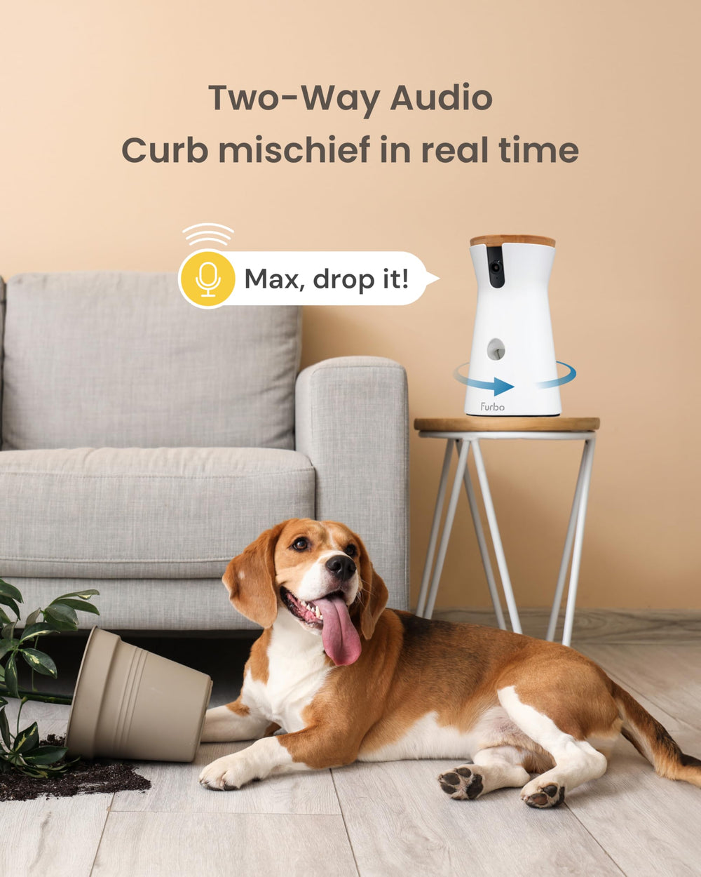 Furbo barking alerts notify you when your dog barks.