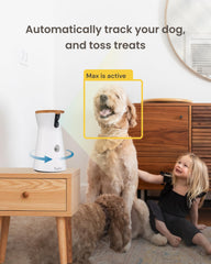 Furbo color night vision helps you see clearly after dark.