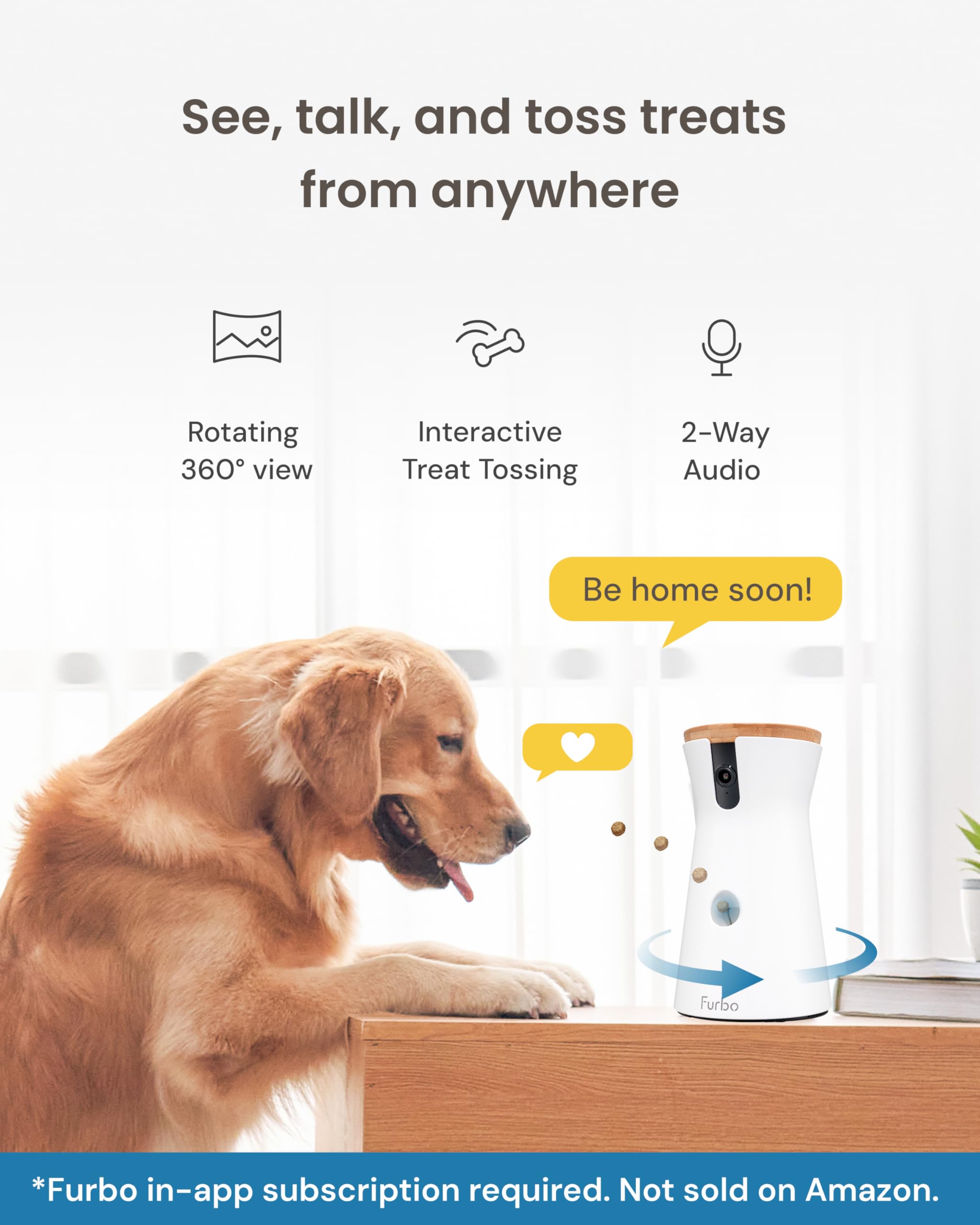 Furbo live view shows real-time visuals to check in anytime
