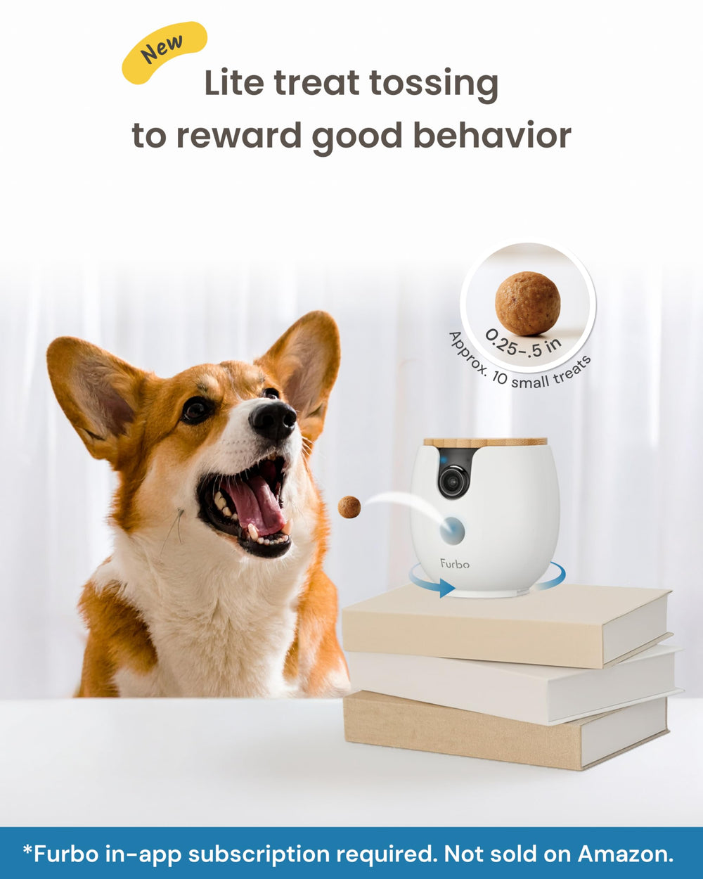 Furbo activation process unlocks premium features after subscription