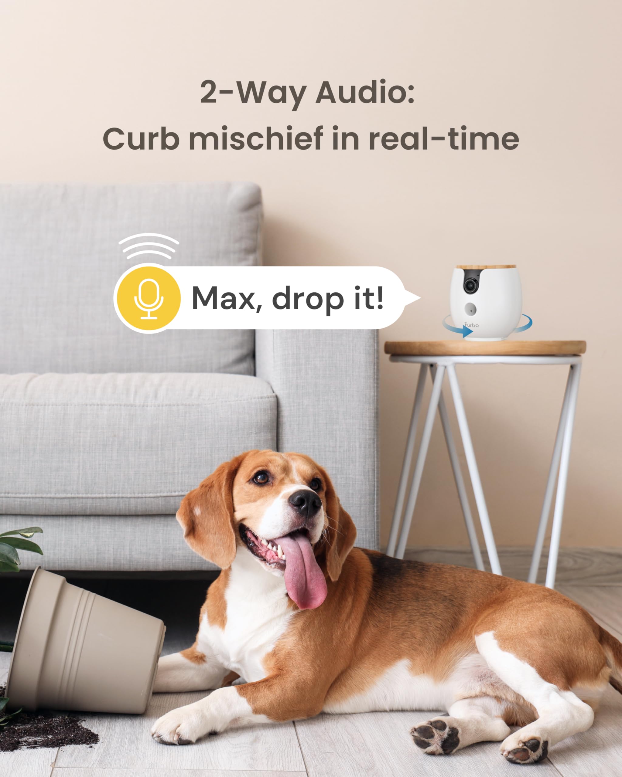 Furbo Mini barking alerts keep you informed at a glance