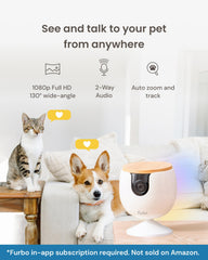 Furbo Mini Camera 2-way audio enables quick chats with your pet