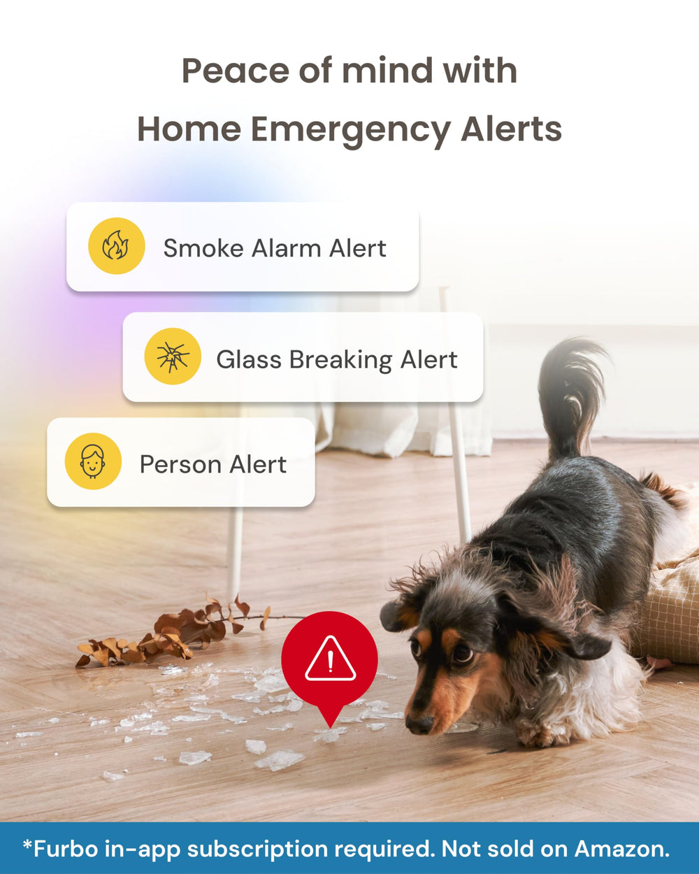Furbo Mini Camera subscription activation unlocks advanced features