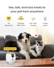 Furbo Mini color night vision reveals pets clearly in low light