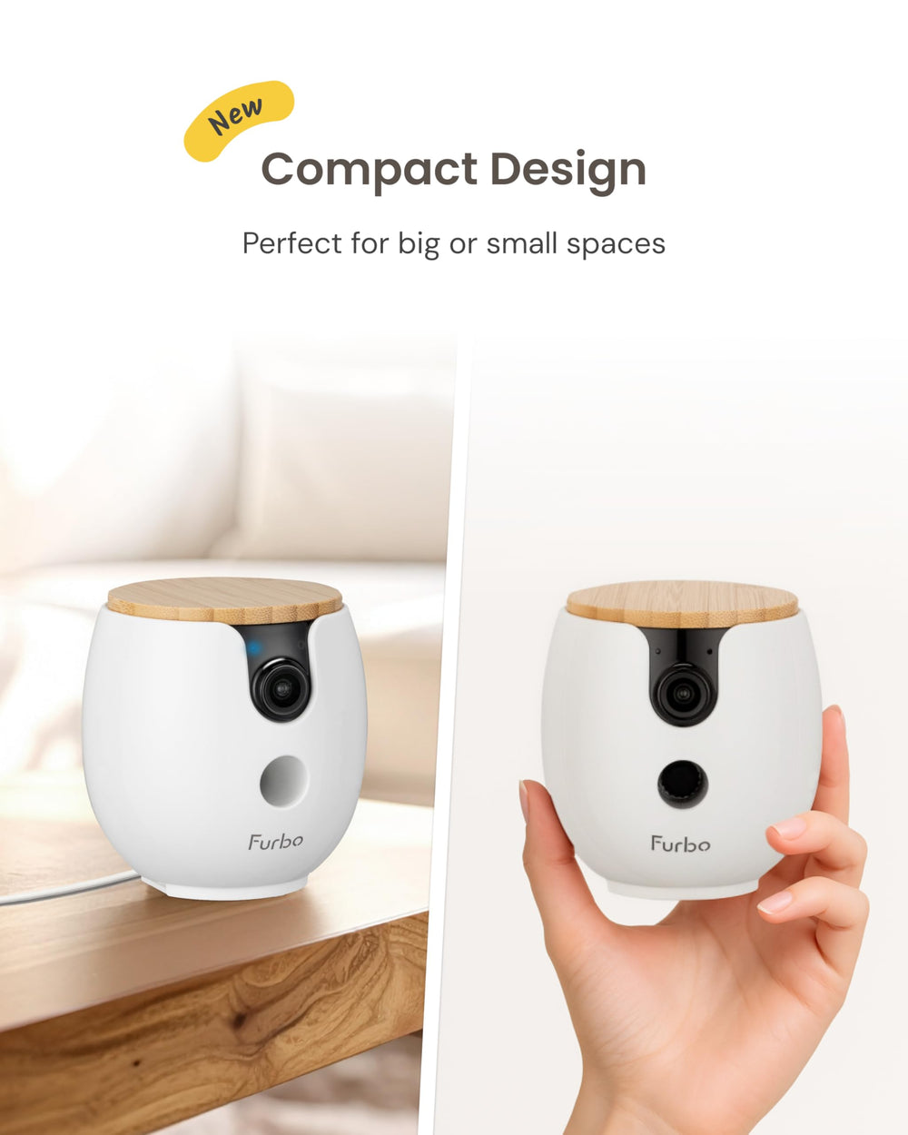 Furbo Mini easy setup with secure 2-step connection