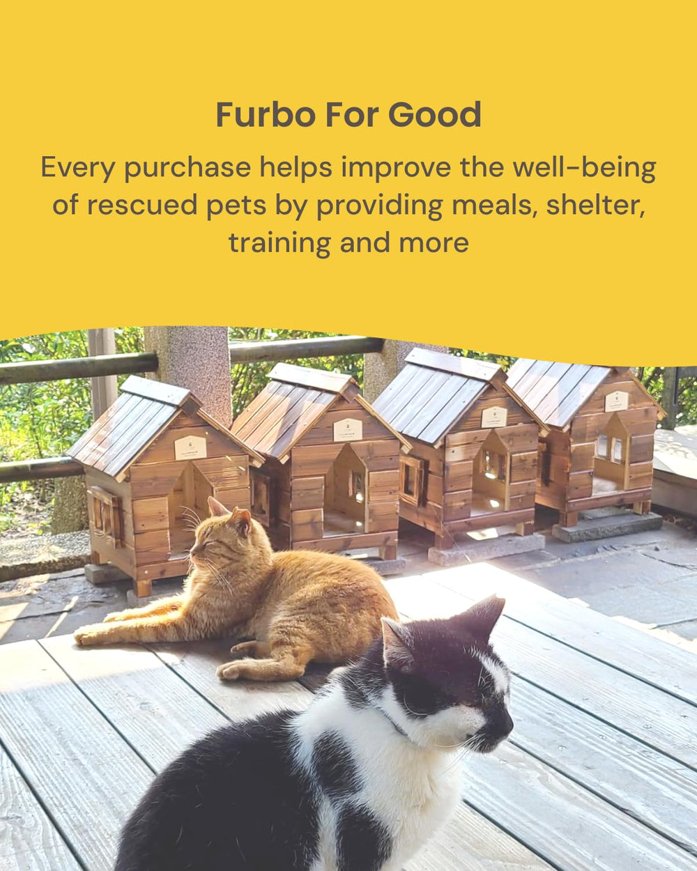 Furbo nanny AI tools trial offers optional smart alerts during a trial
