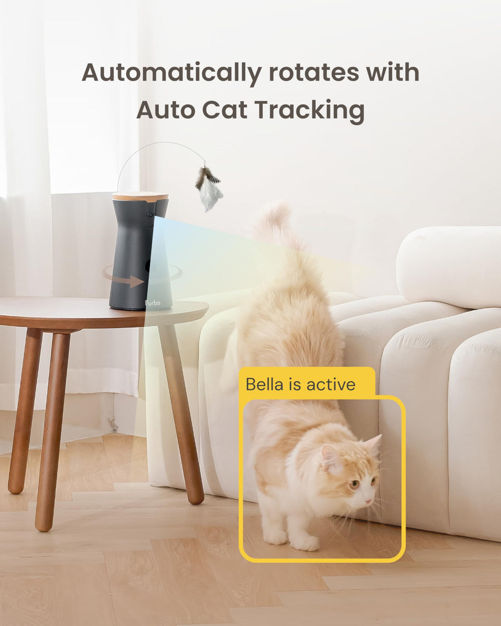 Furbo rotating view showcases a seamless 360-degree panorama