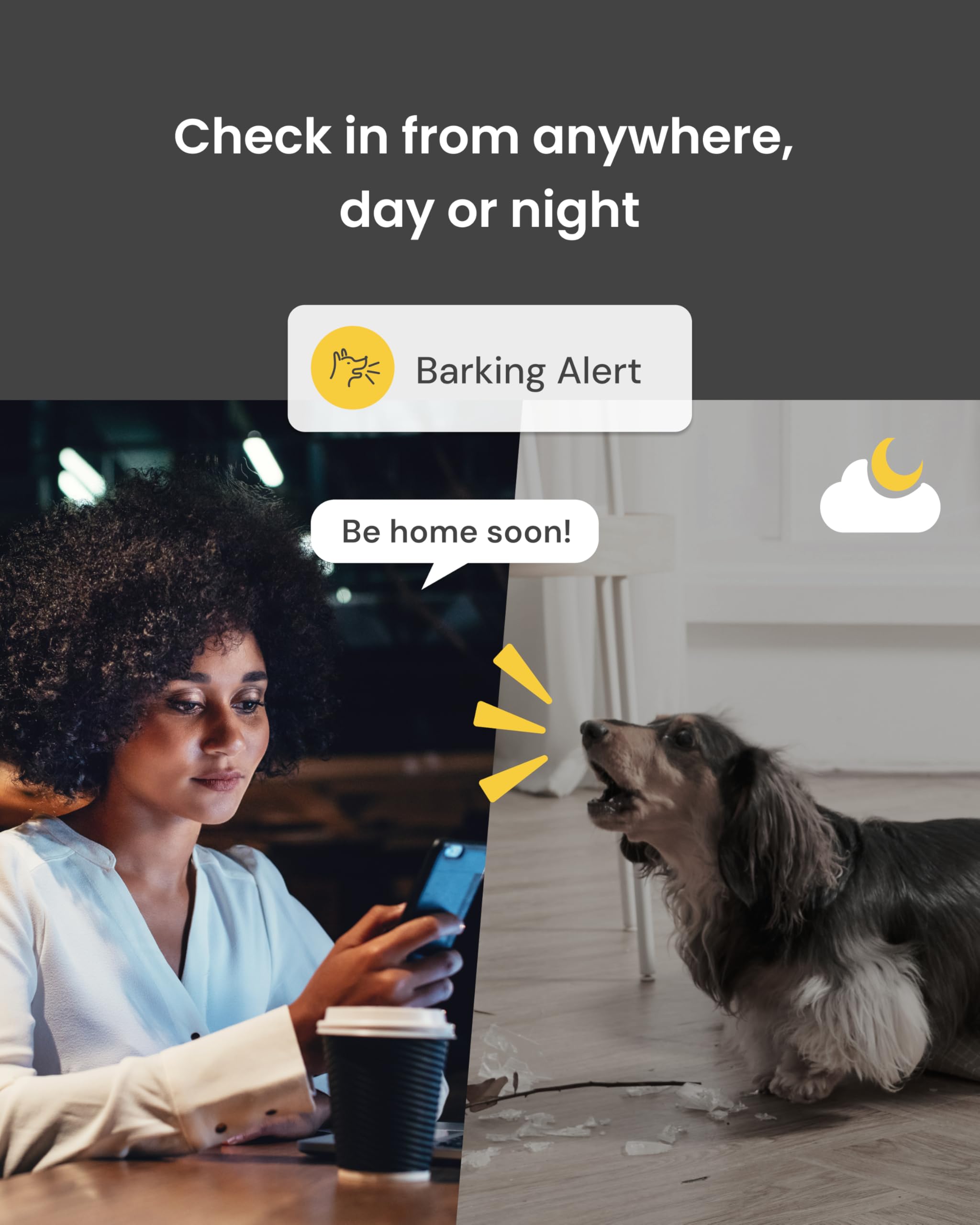 Furbo two-way audio lets you talk and soothe from anywhere.