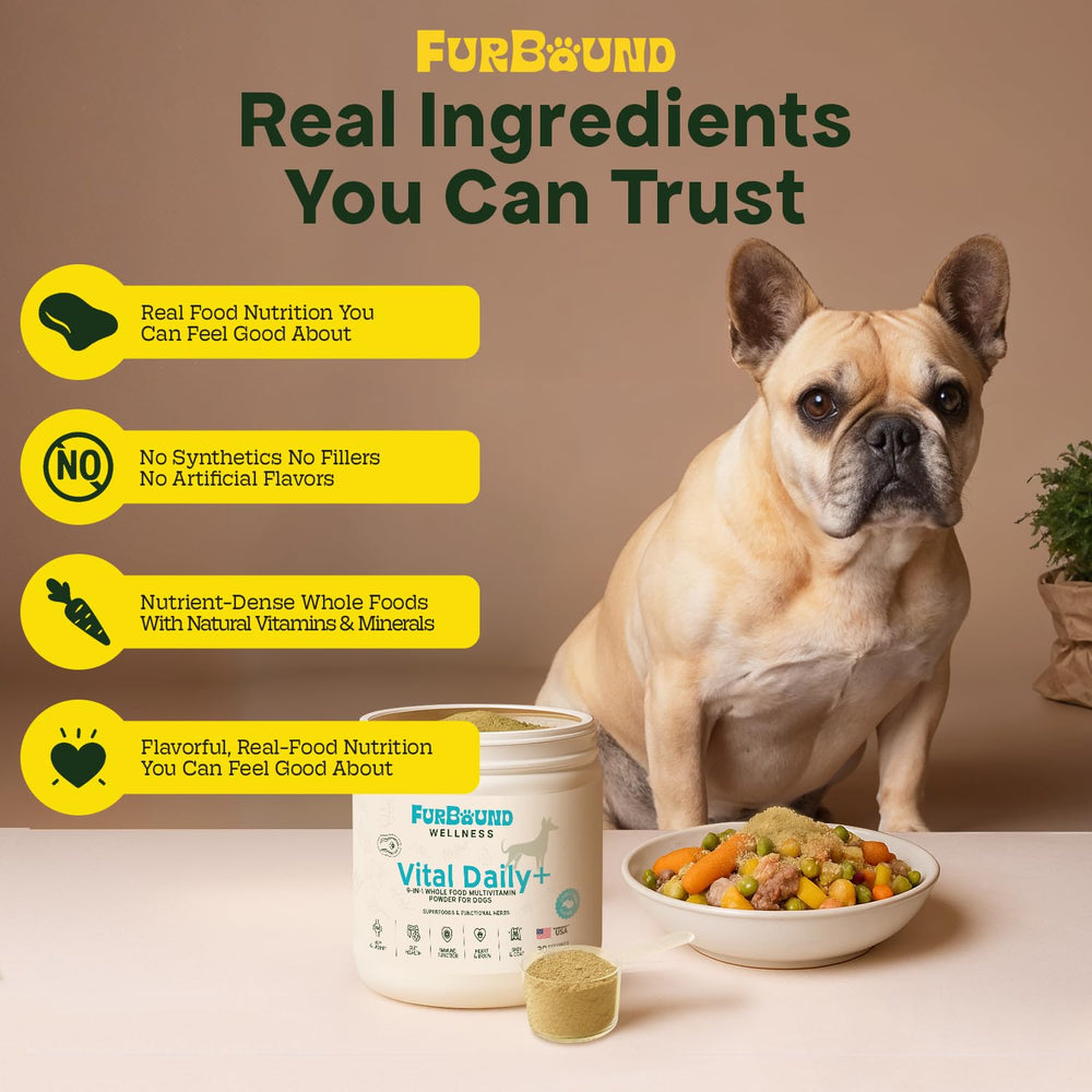 FurBound cheesy beef flavor powder sprinkled on meals for easy dosing.