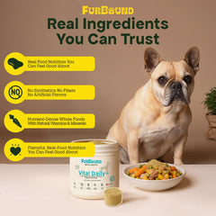 FurBound cheesy beef flavor powder sprinkled on meals for easy dosing.