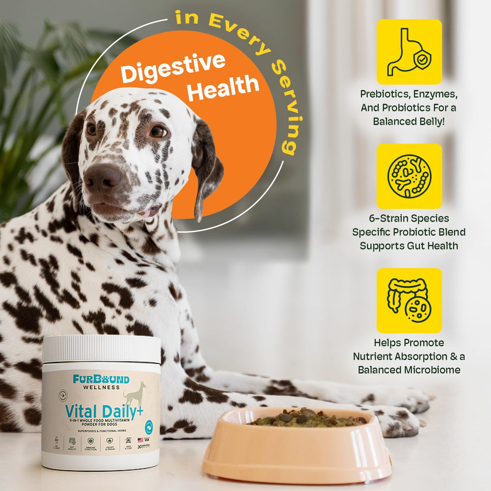 Omega-3 rich FurBound ingredients support skin and coat in dogs.