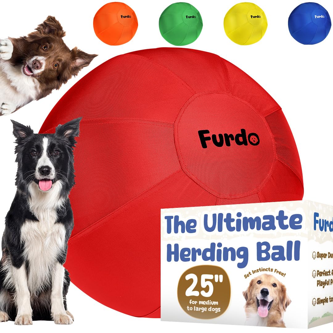 Furdo 25-inch herding ball in action for active training and play.