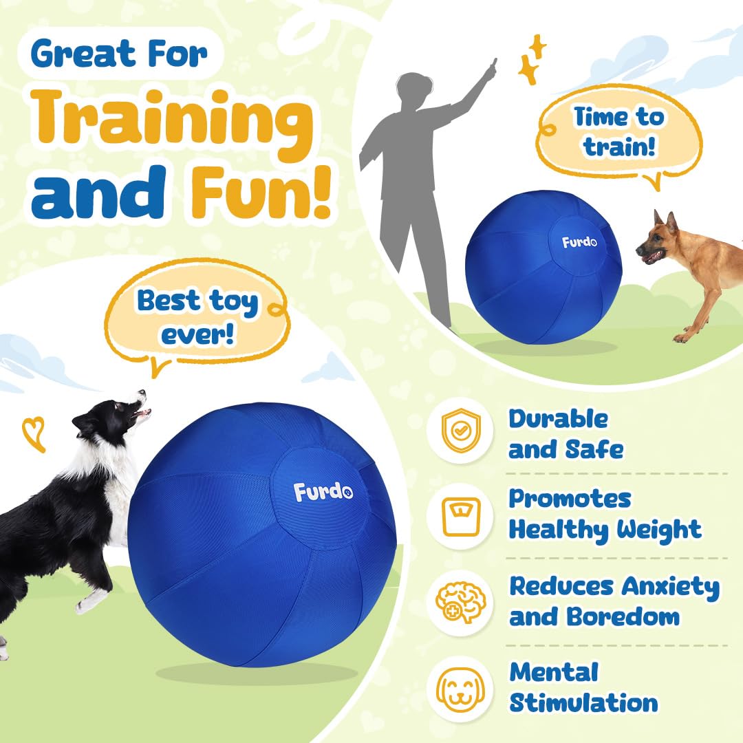 Furdo ball in action demonstrates chasing and focus for dogs.