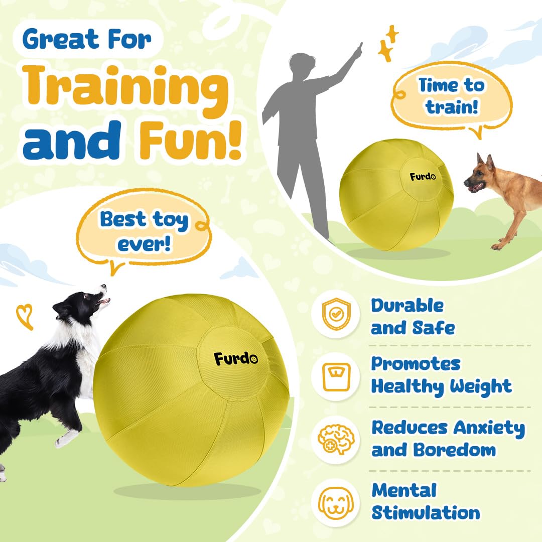 Vibrant Furdo ball adds excitement to dog exercise routines