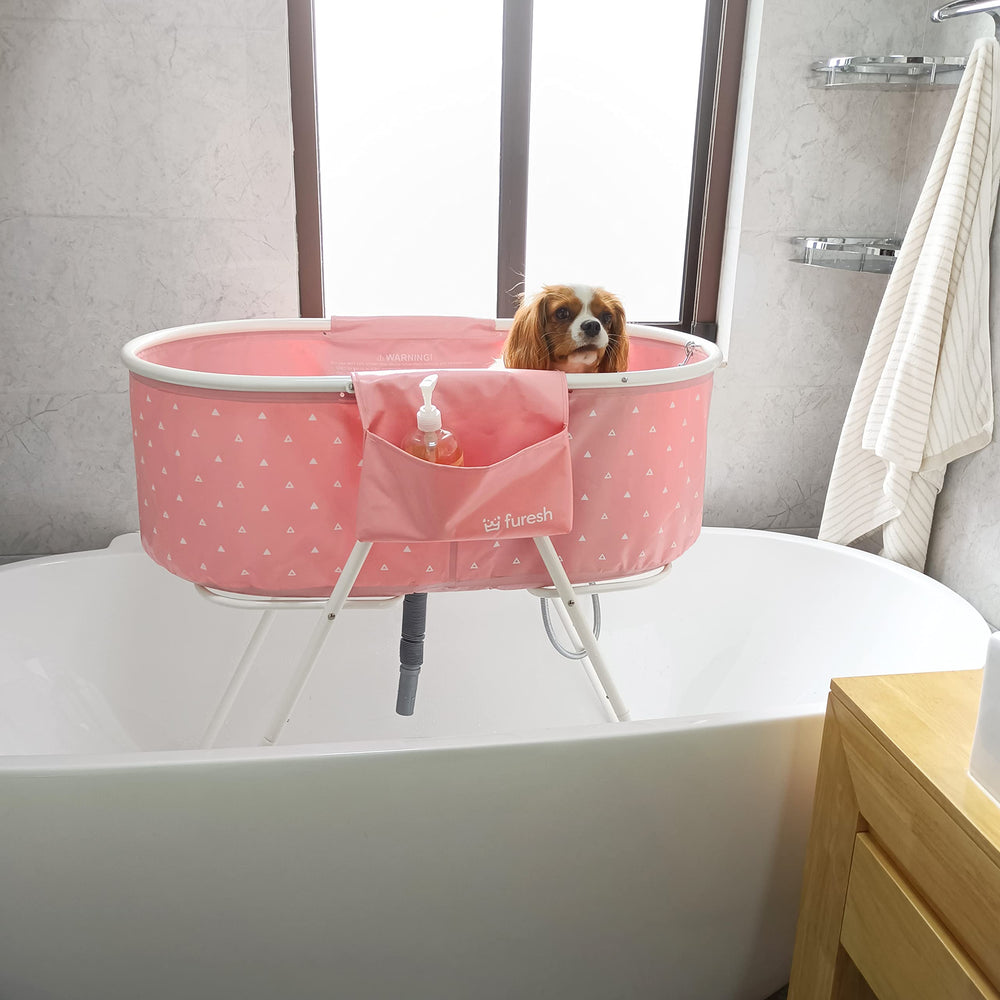 Furesh Little Dipper aluminum frame stays sturdy during grooming