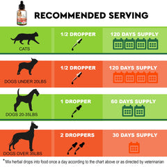 Dropper dispensing FurFinds Herbal Cleanse into pet food for easy daily use.