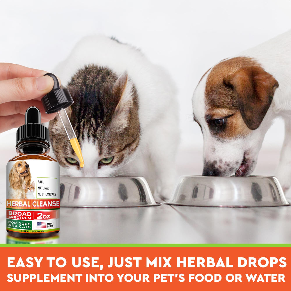 Cat or dog meal with FurFinds Herbal Cleanse mixed in.