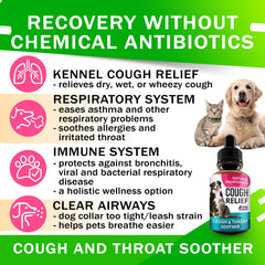 FurFinds Kennel Cough Drops being added to pet food for convenient use.