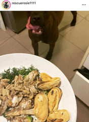 FurFresh Omega-3 rich mussels support overall wellness for dogs and cats.