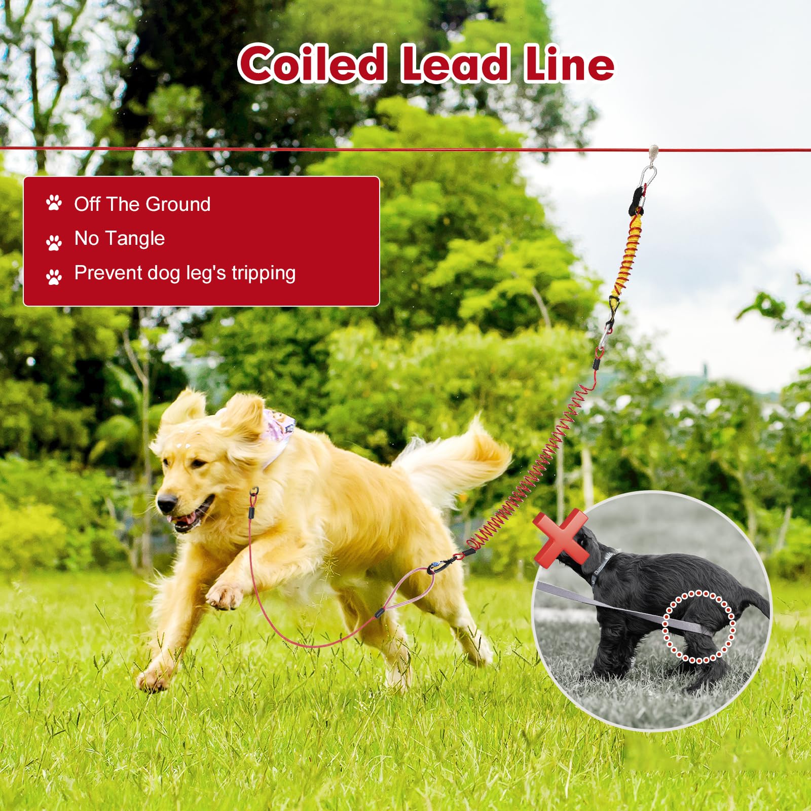 Furggis 4ft cable leash offers flexible outdoor control
