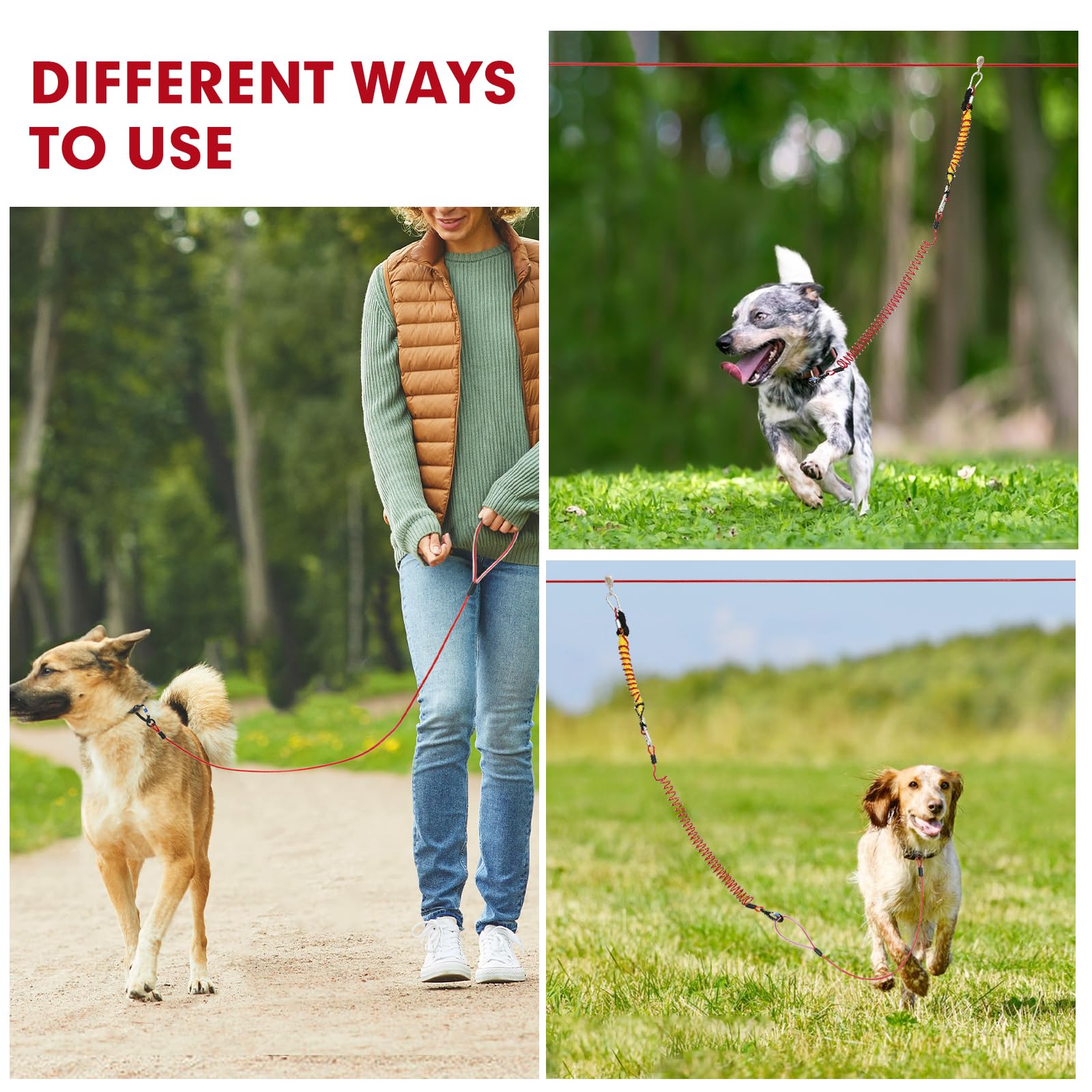 Furggis heavy-duty cable supports strong dogs with 1000 lb break strength