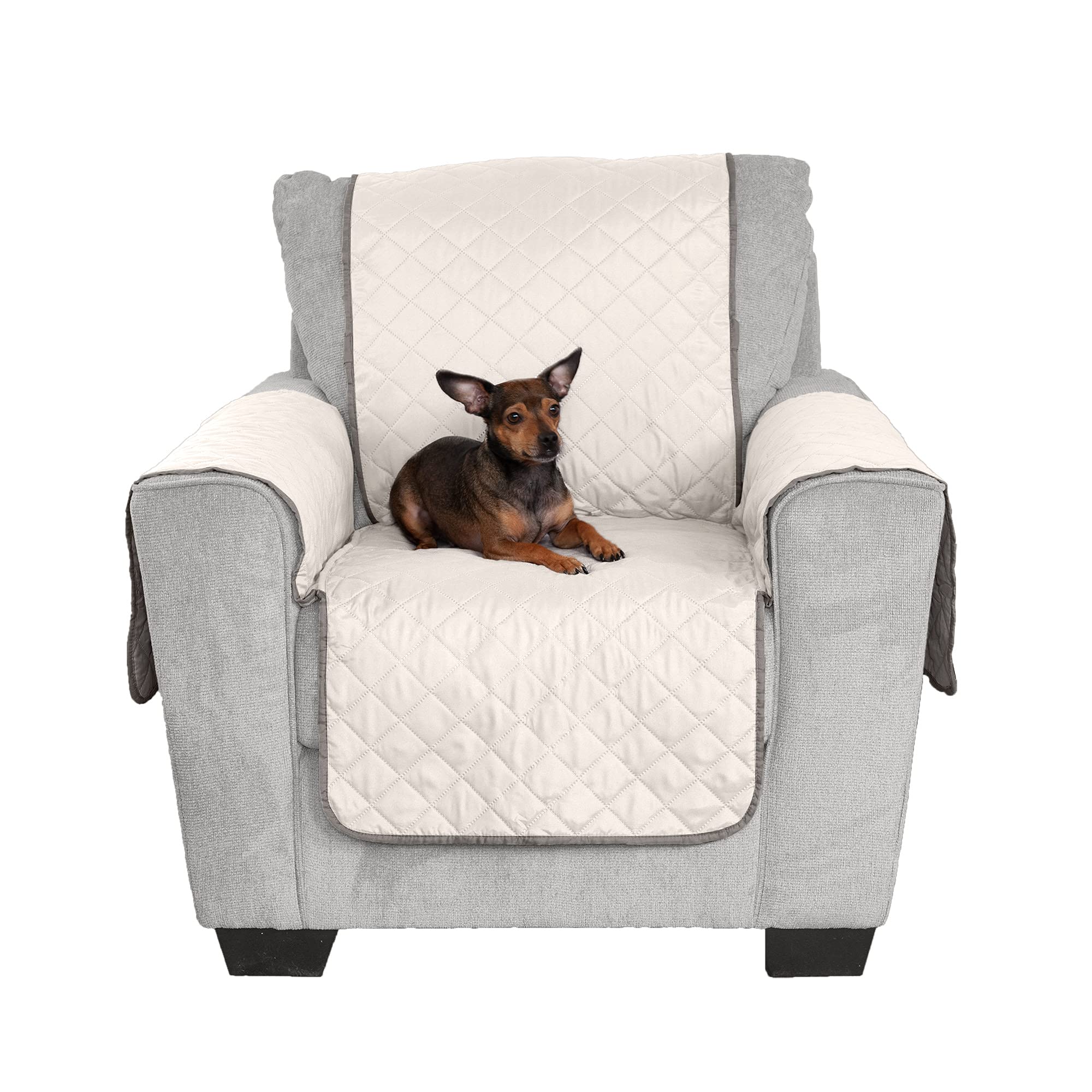 Furhaven chair cover with adjustable strap system for secure fit during activity.
