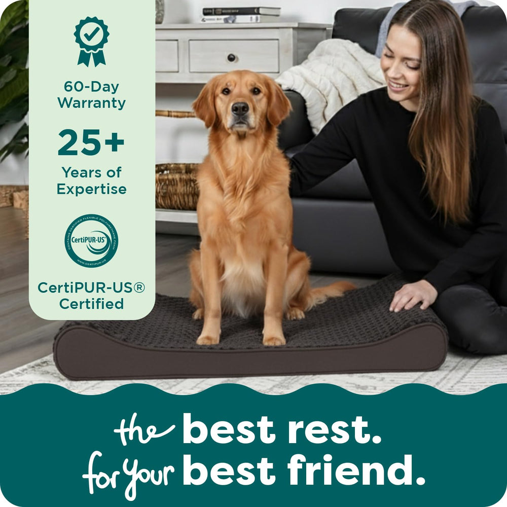 Furhaven cushioned bed fits living rooms, crates, or car trips for portable comfort.