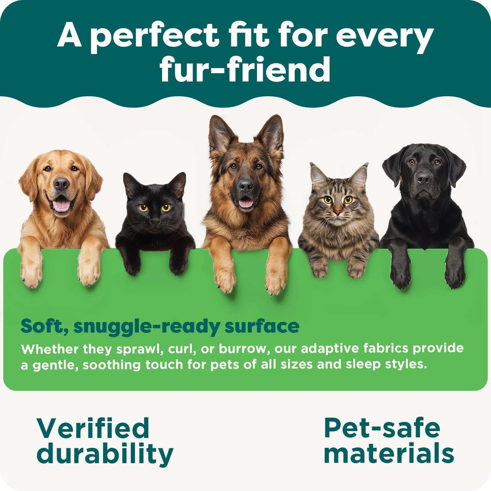 CertiPUR-US foam inside FurHaven bed for safety and durability