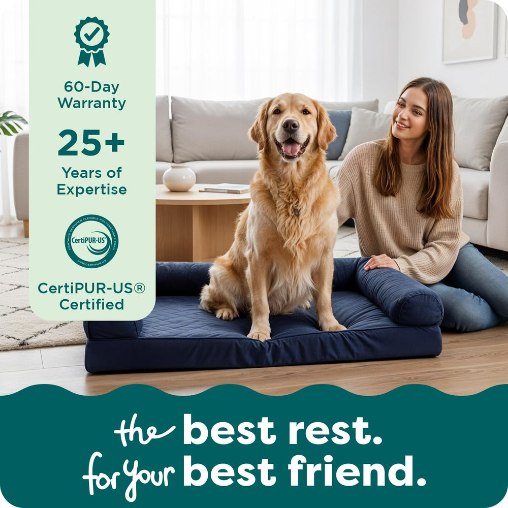FurHaven large dog bed fits living rooms, crates, and cars.