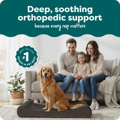 Furhaven Luxe Lounger contour mattress supports joints and promotes restful sleep.
