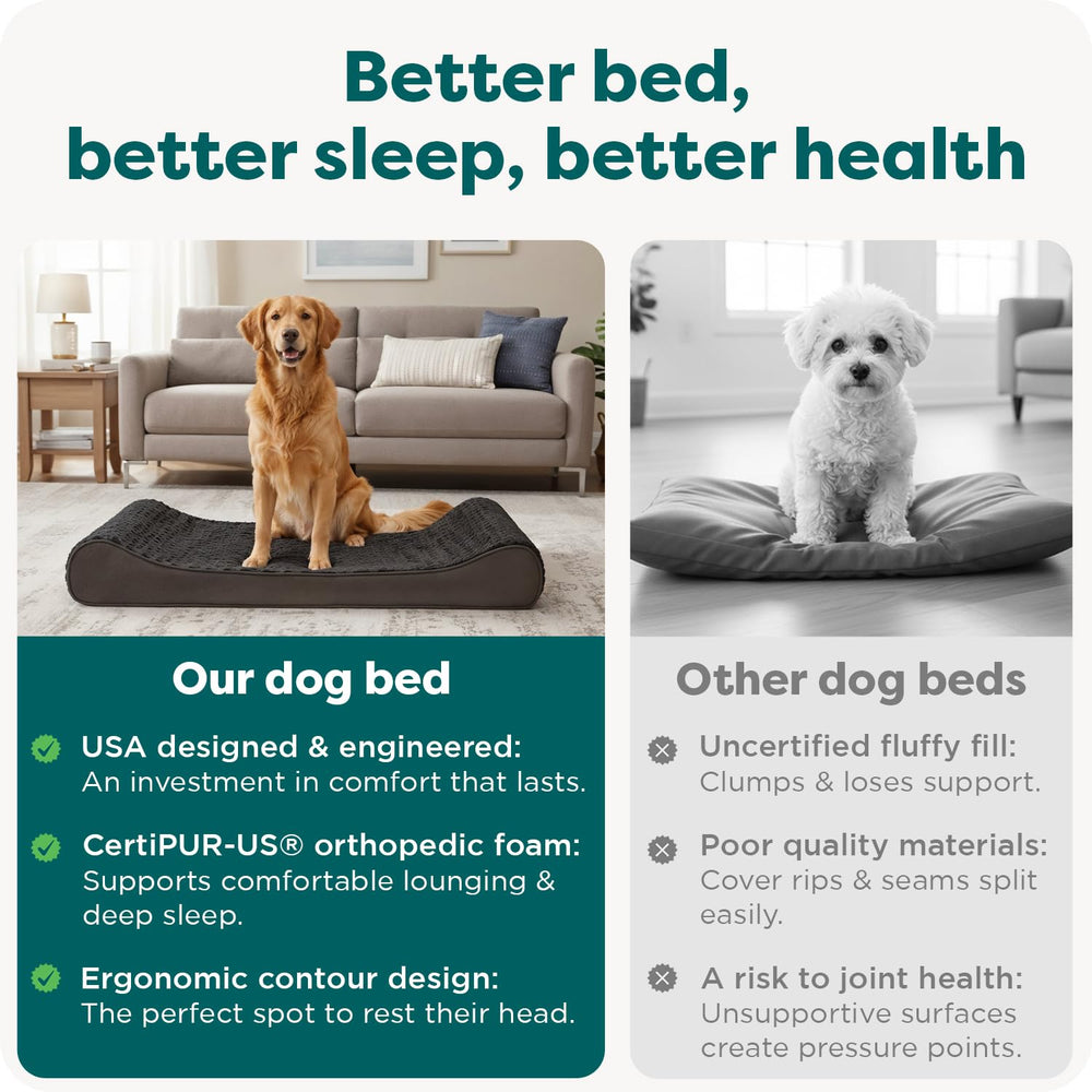 Furhaven open sleeper space accommodates sprawlers and loungers alike.