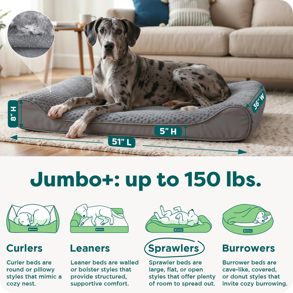 Furhaven removable cover demonstrates machine-washable convenience.