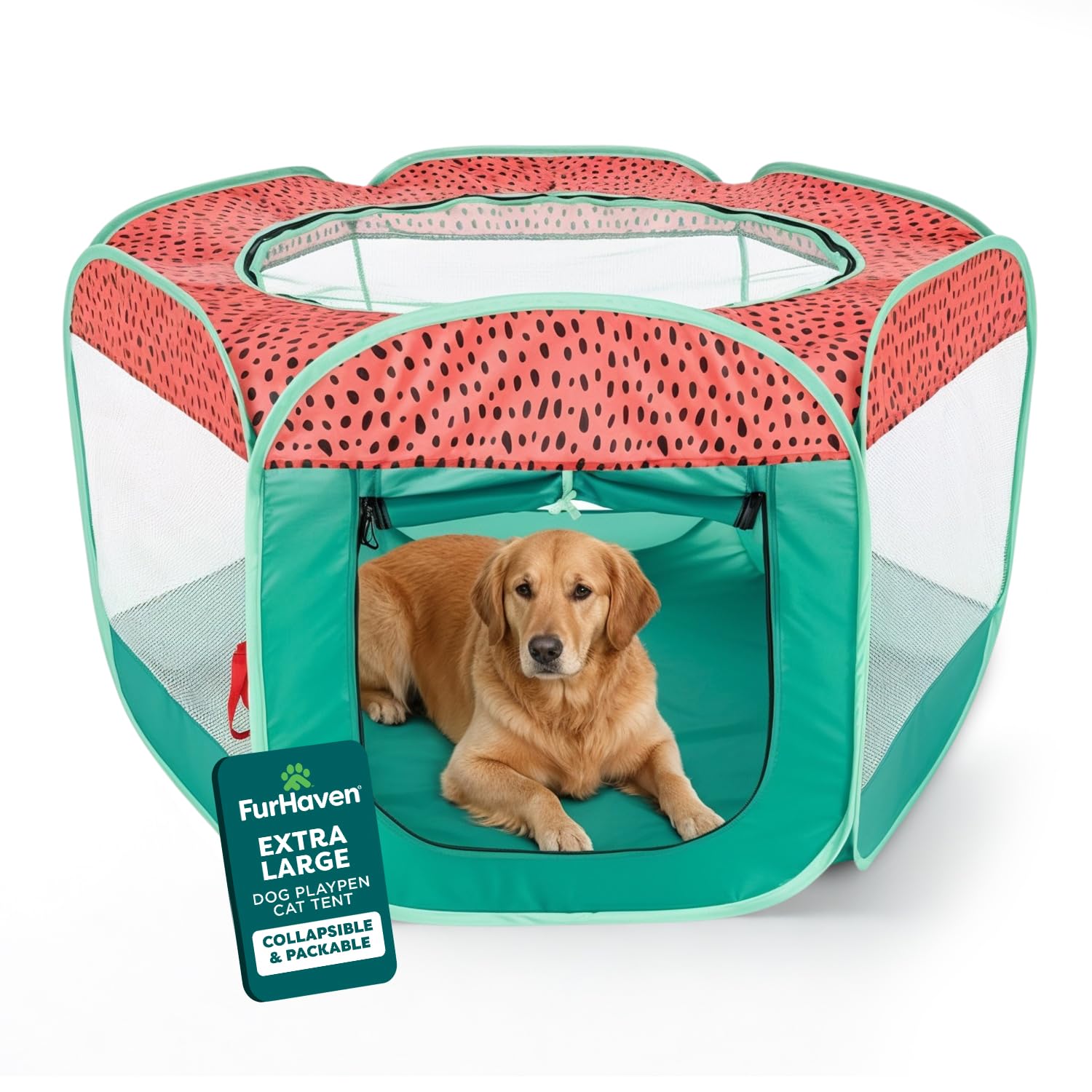 FurHaven playpen setup outdoors with quick assembly for safe backyard play