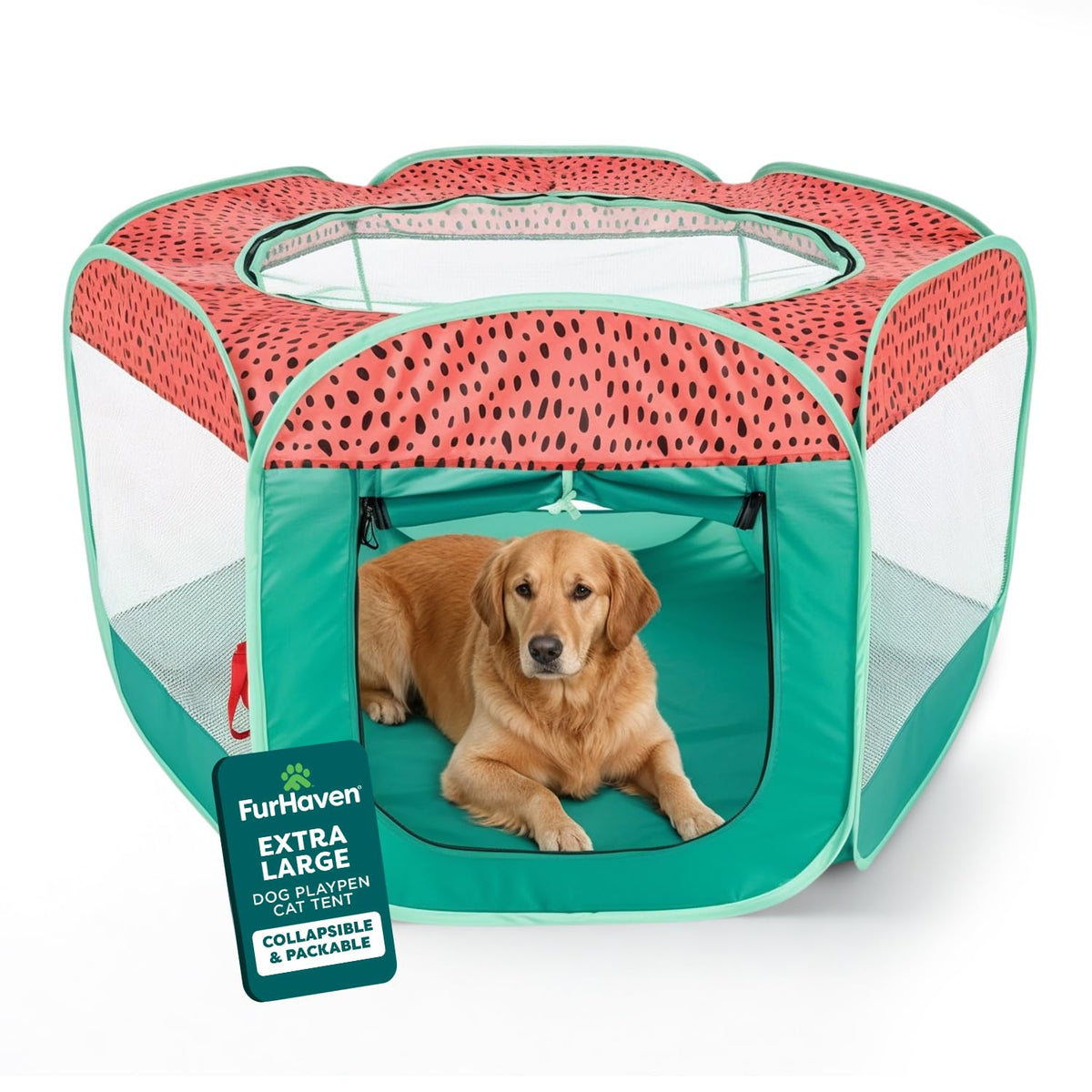 FurHaven playpen setup outdoors with quick assembly for safe backyard play