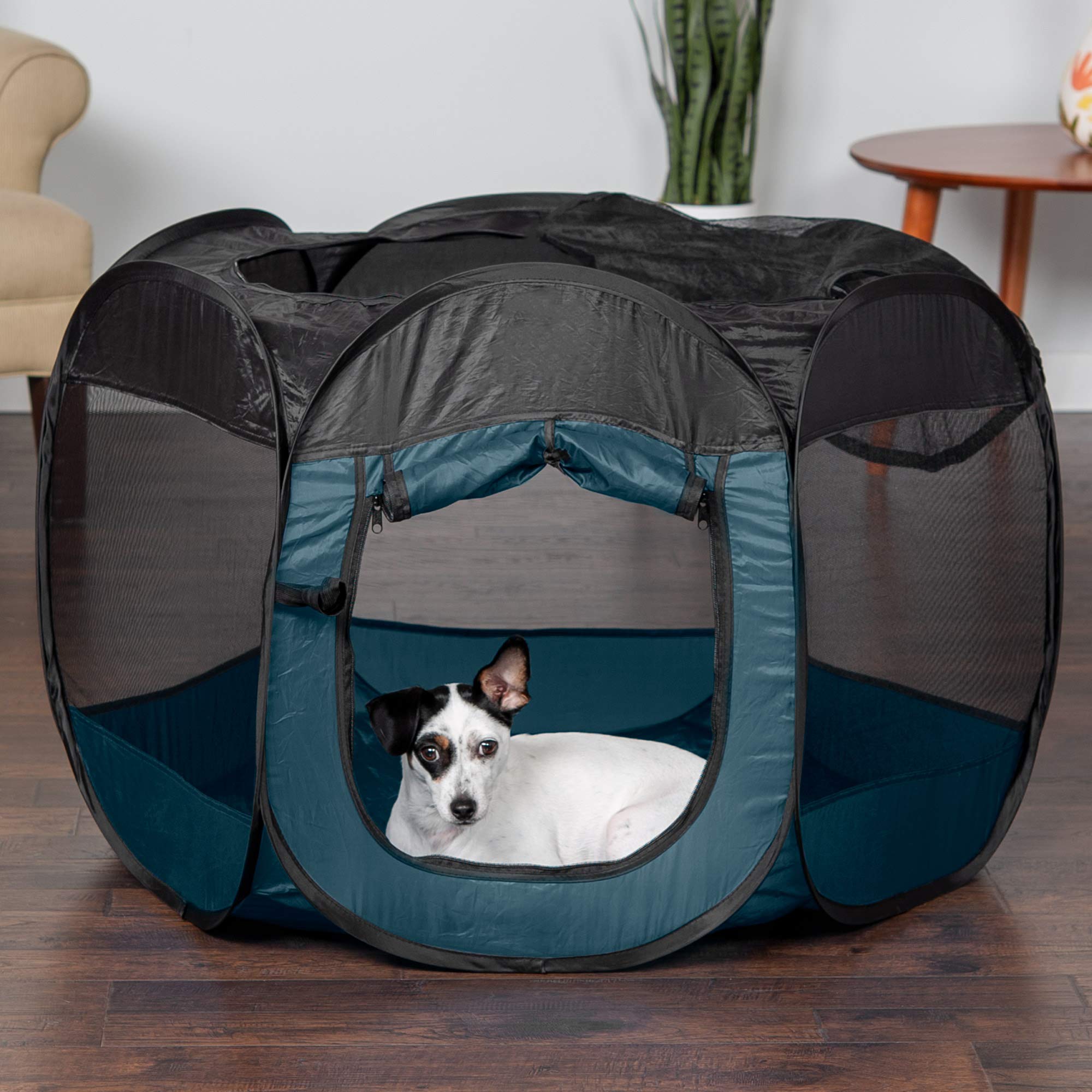 Furhaven Sailor Blue playpen with removable top for versatility.