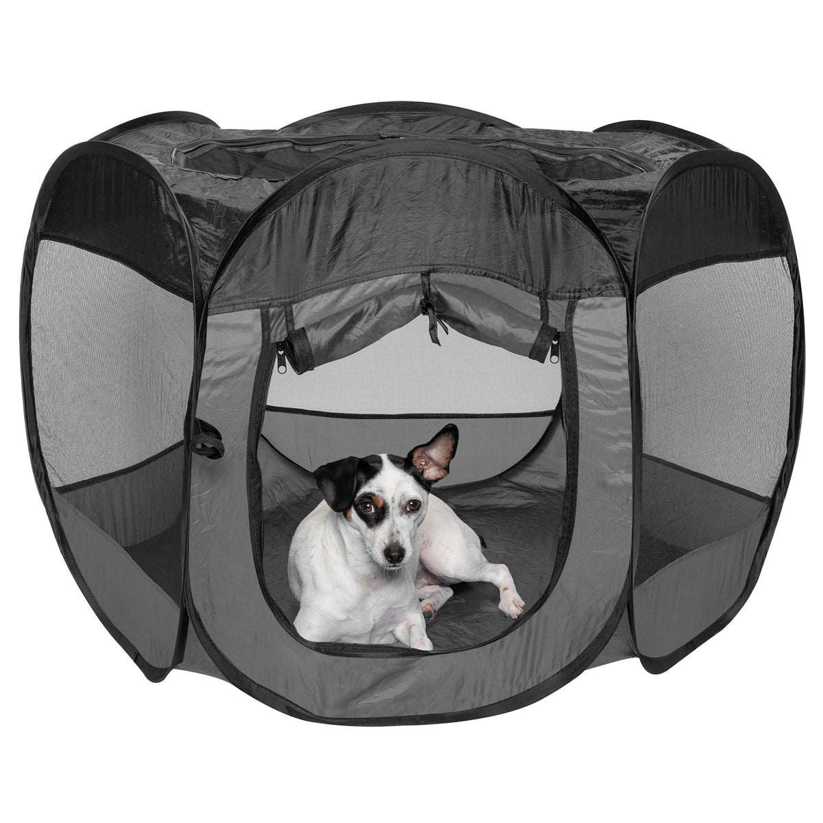 Furhaven portable playpen front view for relaxed pets