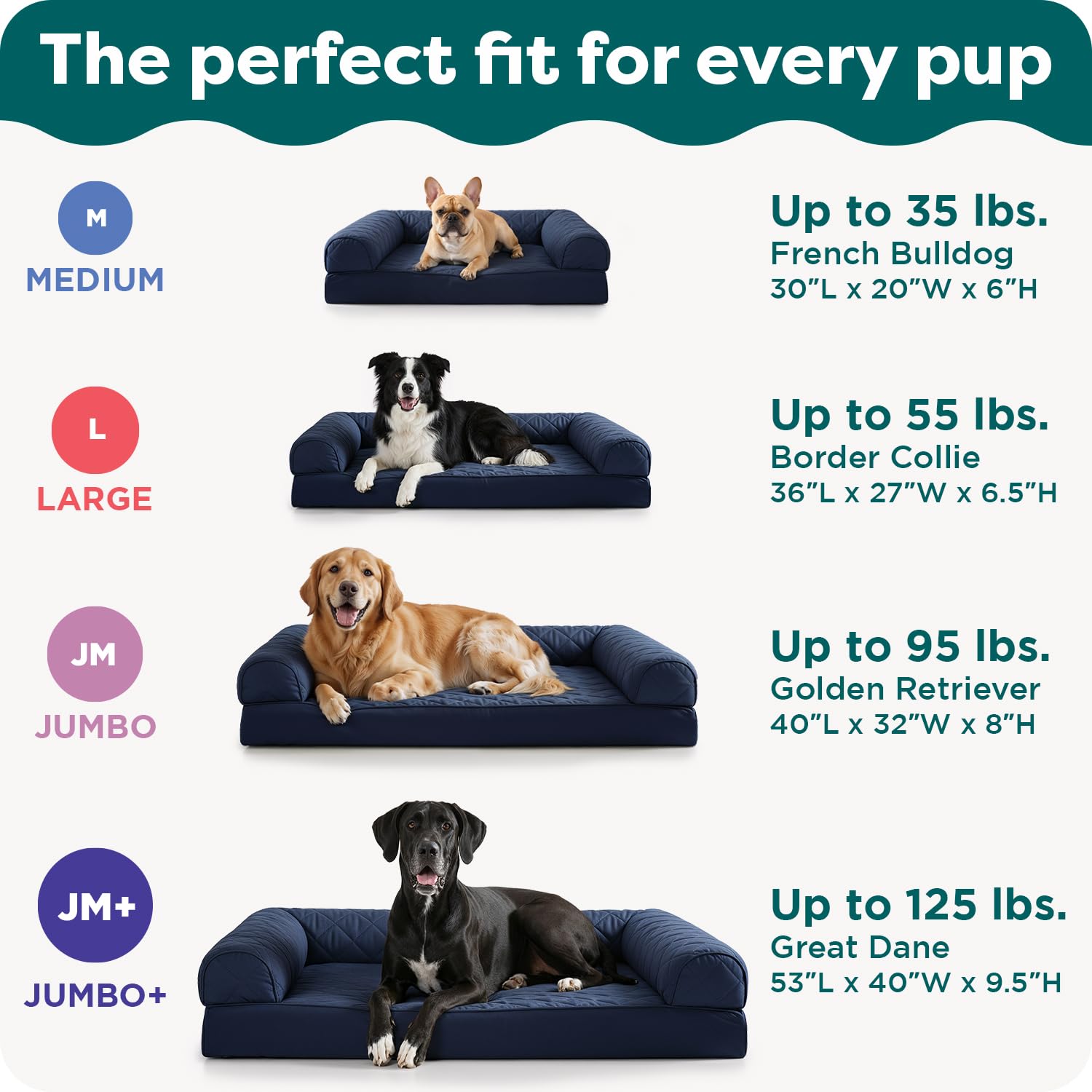 FurHaven reinforced stitching enhances durability for daily use.