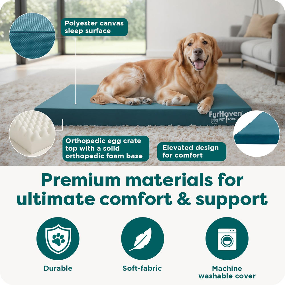 Removable washable cover for Furhaven bed easy cleaning