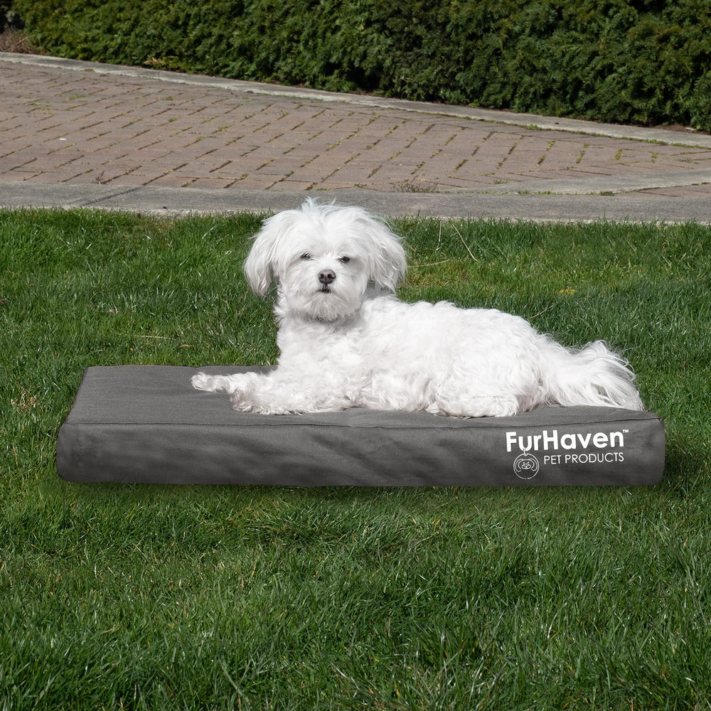 Furhaven removable-washable cover demonstrates easy cleaning and maintenance.