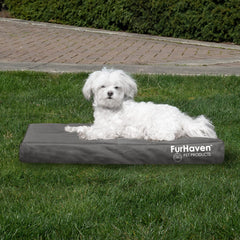 Furhaven removable-washable cover demonstrates easy cleaning and maintenance.