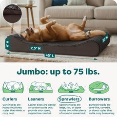 Furhaven solid orthopedic foam slab delivers durable support for daily lounging.