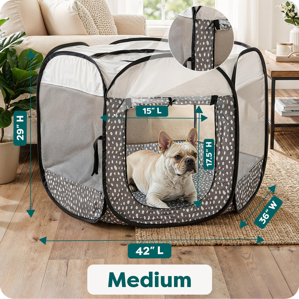 FurHaven spacious 42x36x29 enclosure offers room to play.
