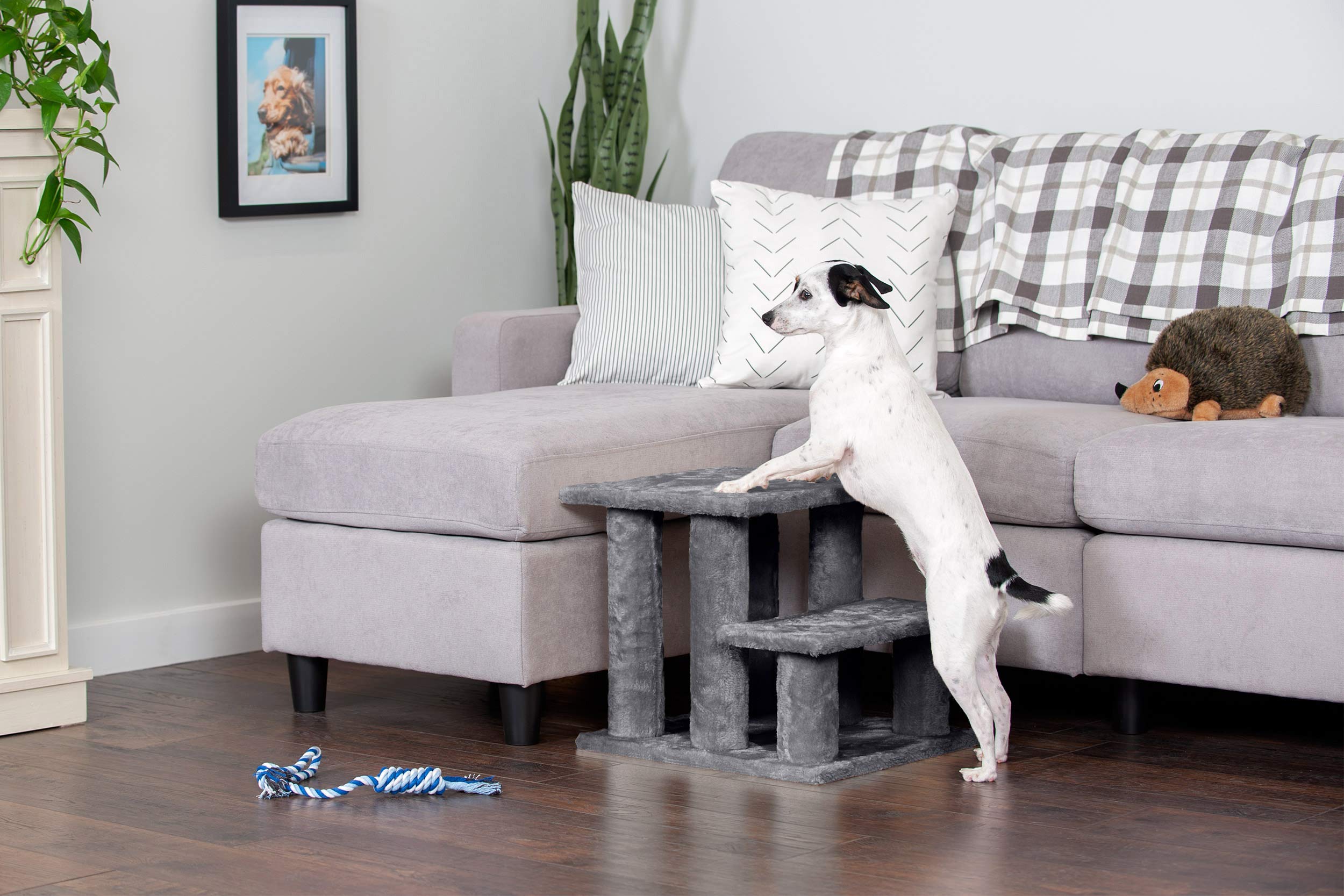 Furhaven Steady Paws cat and dog use improves access to spots