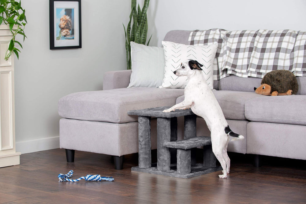 Furhaven Steady Paws cat and dog use improves access to spots