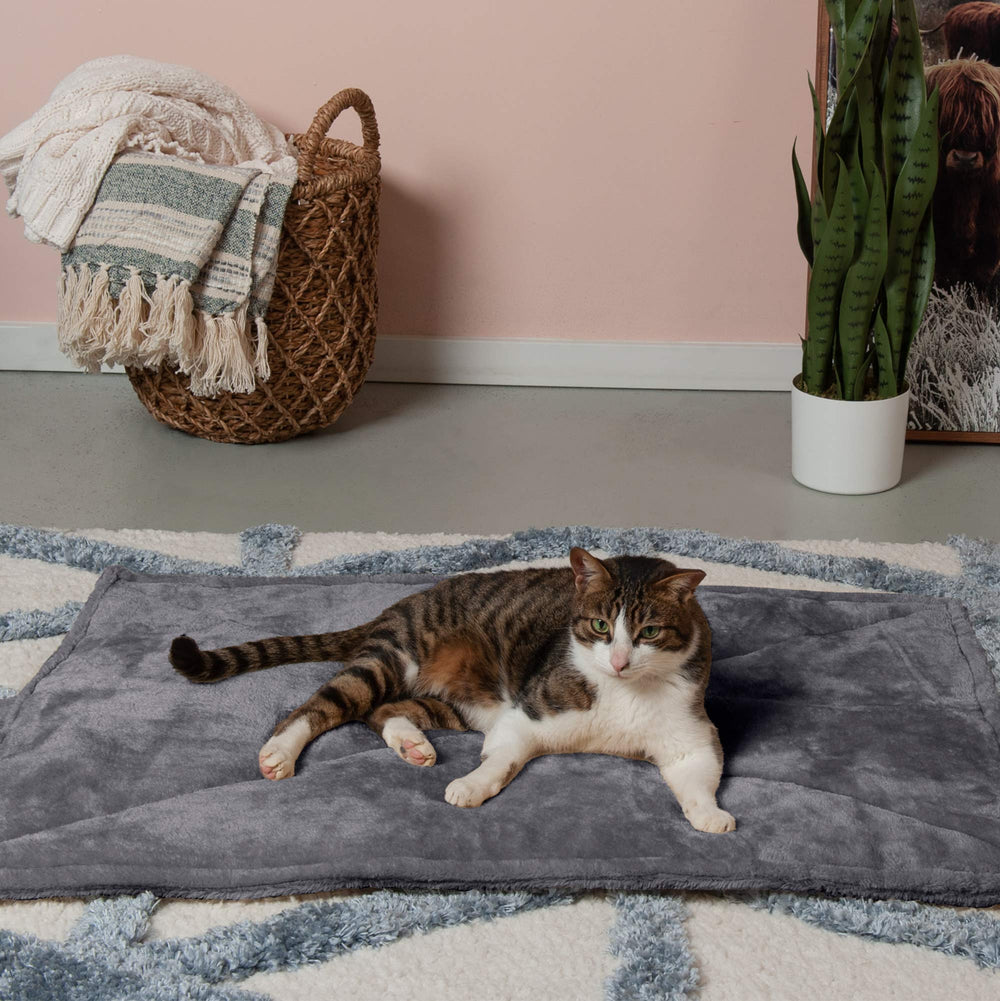 Furhaven ThermaNAP in kennel demonstrates portable warmth.