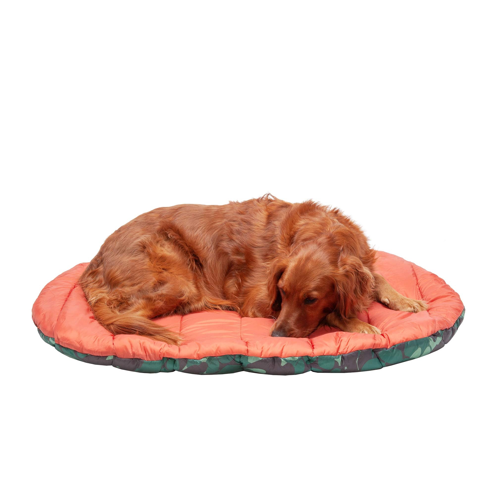 Furhaven Trail Pup Travel Bed folded with carry bag for easy portability.