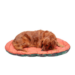 Furhaven Trail Pup Travel Bed folded with carry bag for easy portability.