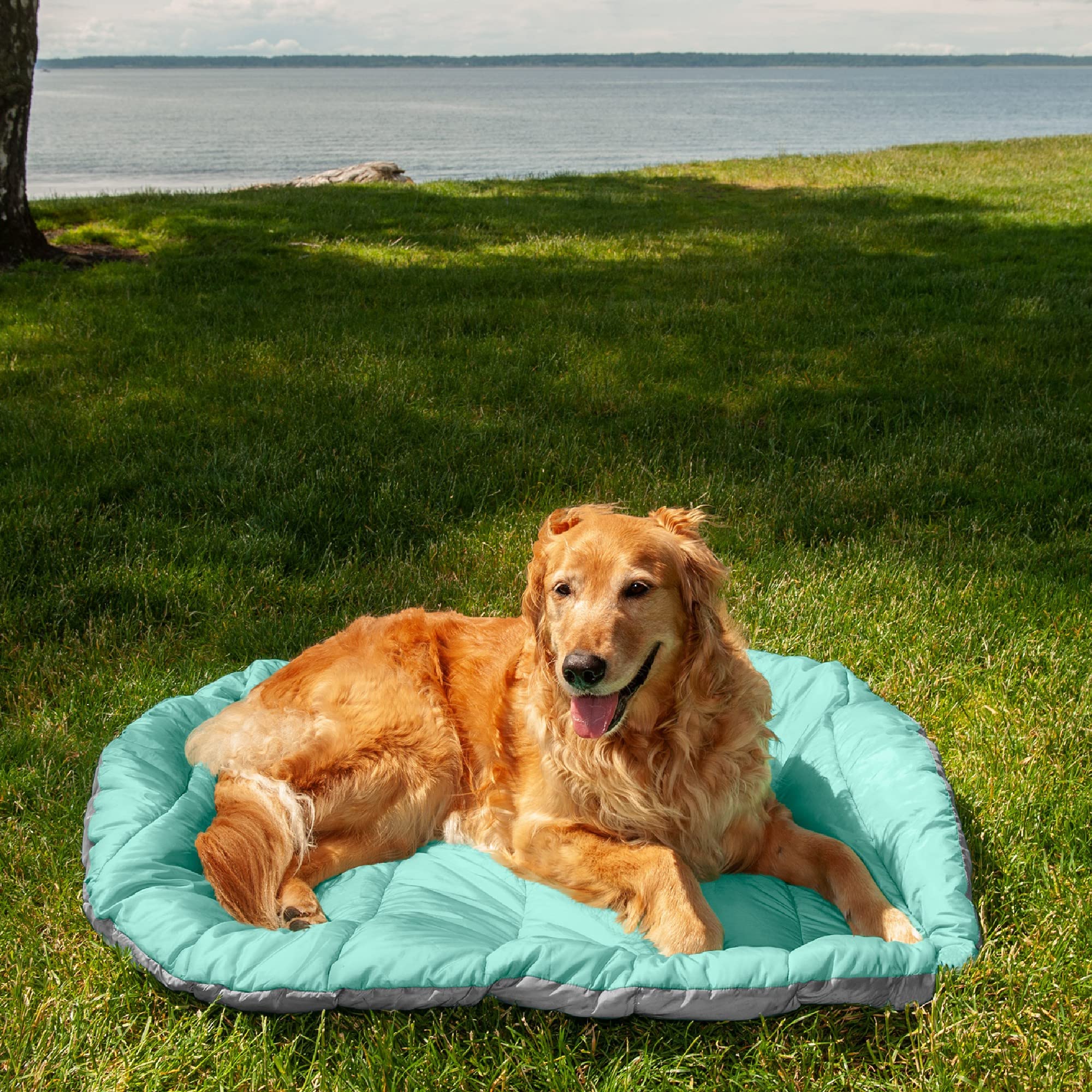 FurHaven Trail Pup travel bed high-loft batting cushions joints for comfort.